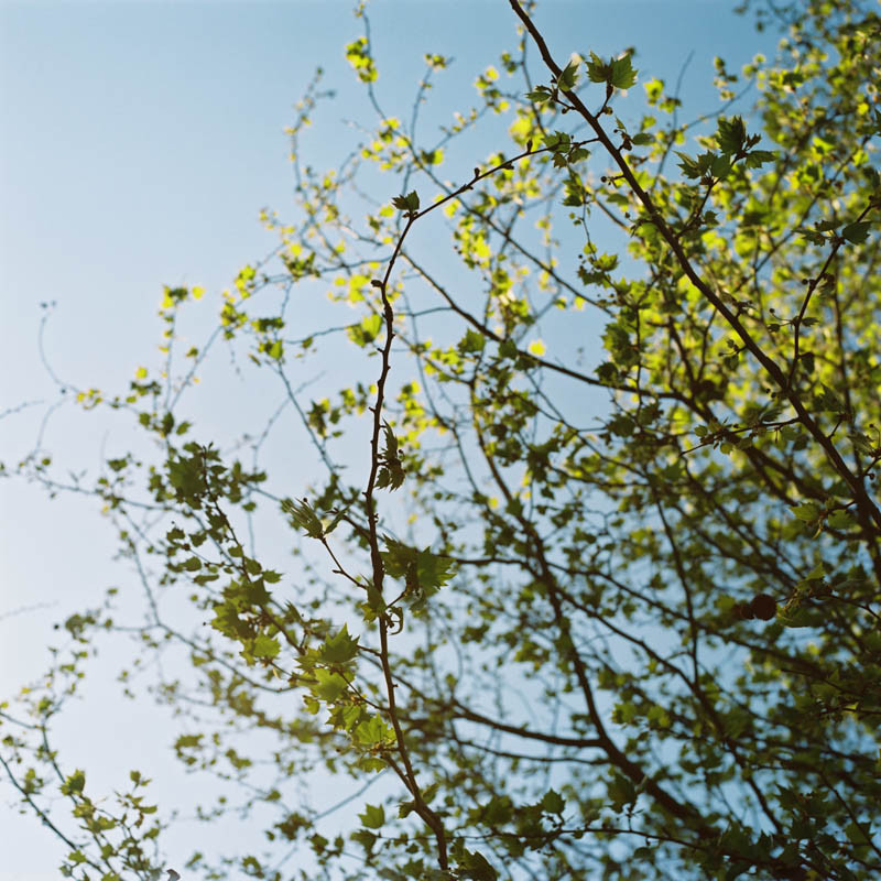 © Lika Banshoya Photography Portrait Buttes Chaumont Paris Bertrand 1