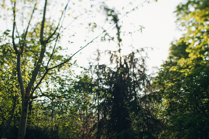 © Lika Banshoya Photography Portrait Alice The Tree Whisperer Bois Vincennes 1