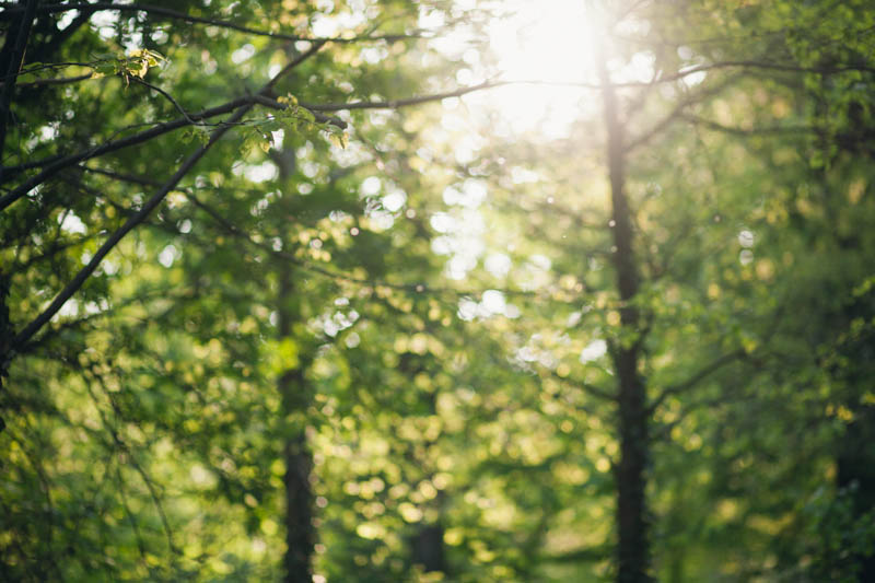 © Lika Banshoya Photography Portrait Alice The Tree Whisperer Bois Vincennes 5