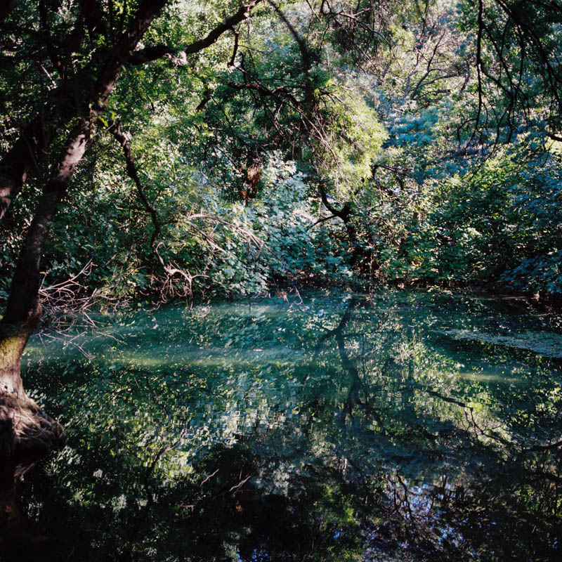 50 shades of green in Plitvice Lakes, Croatia Lika Banshoya