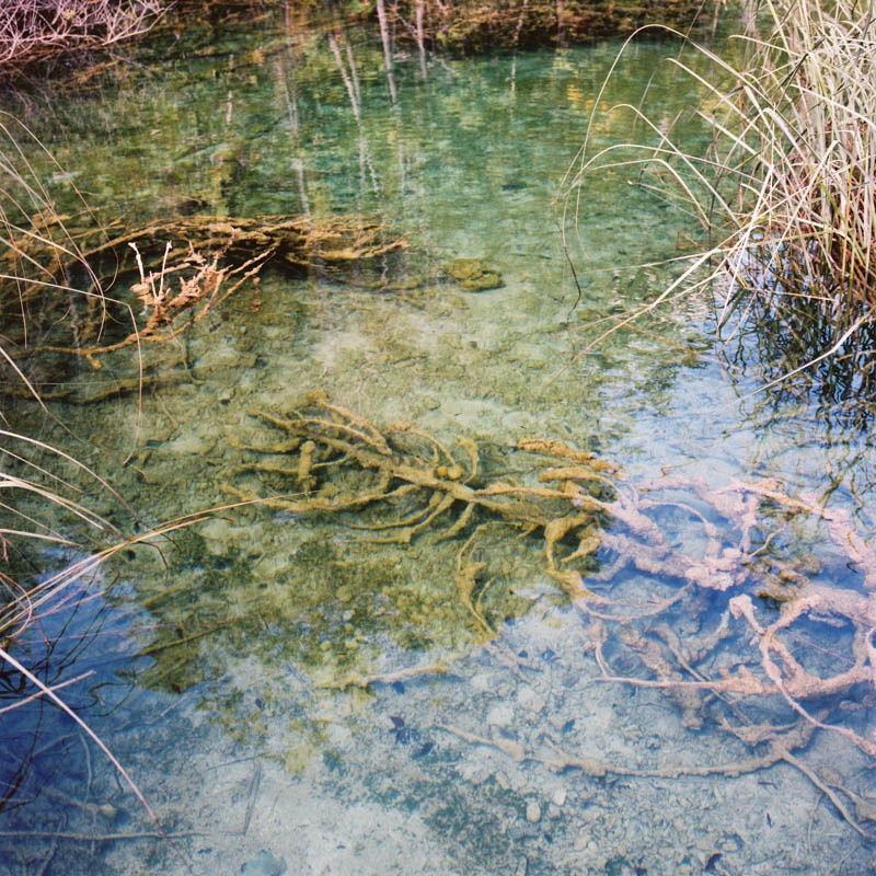 The skeletons of Plitvice, Croatia. Treewrecks underwater. Lika Banshoya